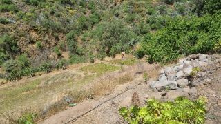 2023-04-GranCan-Guayadeque-044.jpg